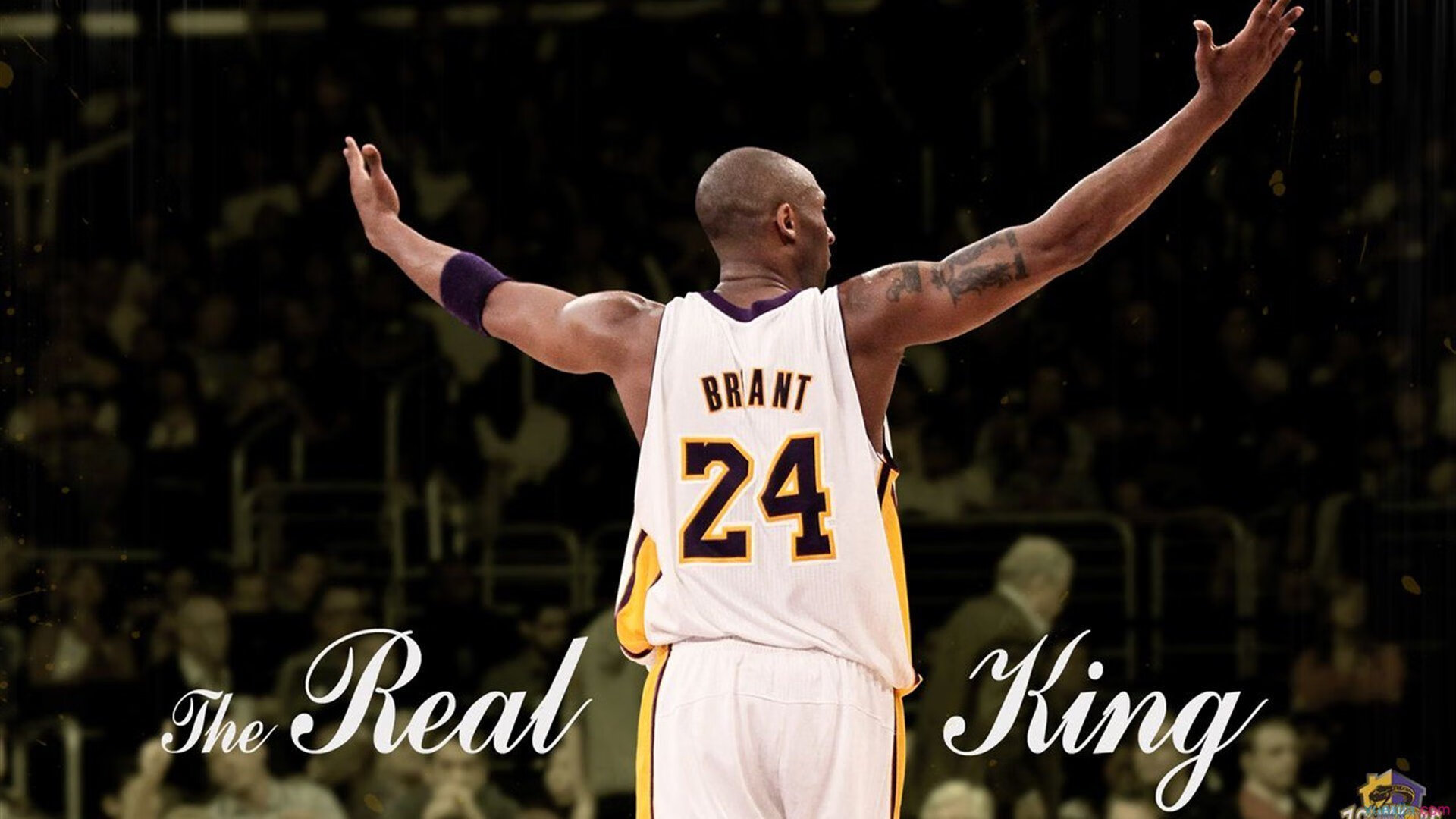 美国游泳名将打破尘封十年世界纪录 巴黎奥运夺金呼声高涨