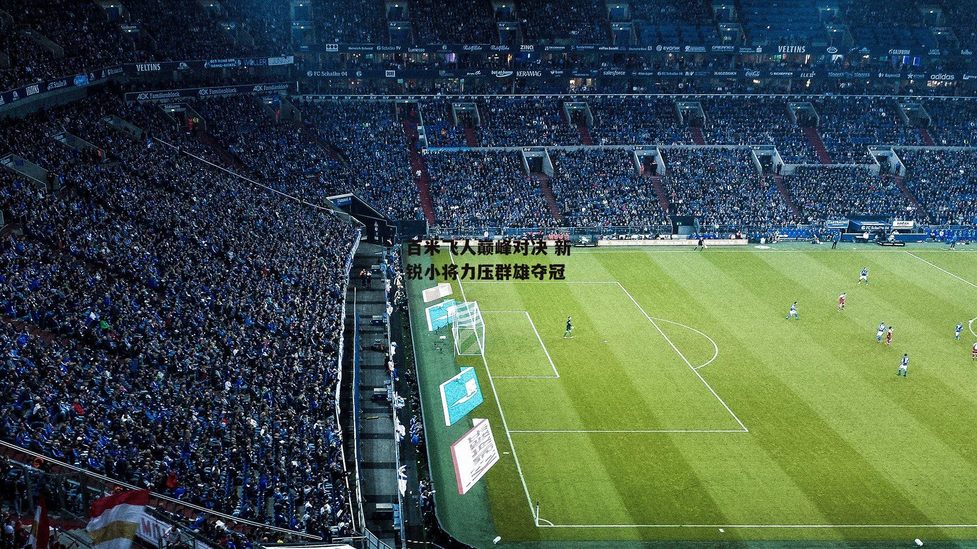 百米飞人巅峰对决 新锐小将力压群雄夺冠